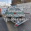 zdjęcie nr 