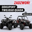 zdjęcie nr 