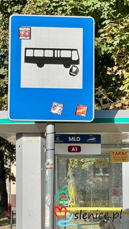 Mieszkańcy ocenią lokalny transport. Ruszyła ankieta [WYPEŁNIJ ANONIMOWO]