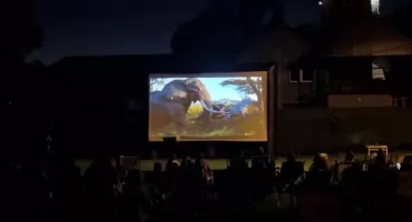 Król Lew pod chmurką- kino plenerowe w Gminie Sułkowice