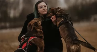 Nowa inicjatywa dla miłośników zwierząt i pomagania. Już 21 maja Forum Karmimy Psiaki w Krakowie