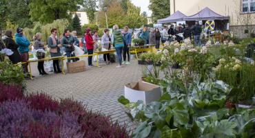 Piknik Ekologiczny: 4 tysiące sadzonek trafiło do mieszkańców Gminy Myślenice